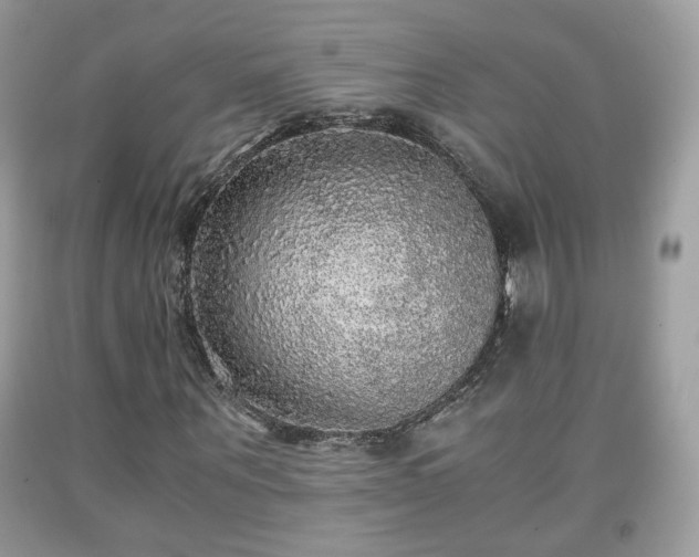 X0000091960867200709131225