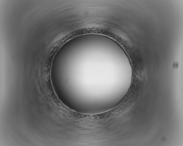 X0000091960869200709131225