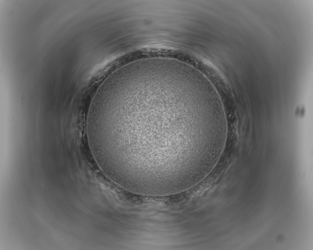 X0000091960870200709131225