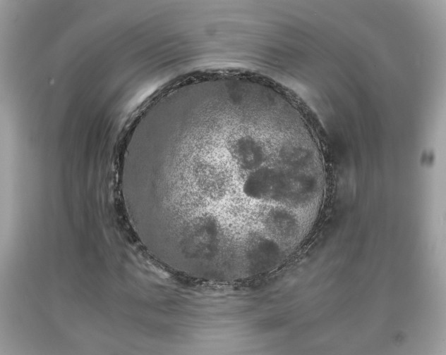 X0000091960871200709131225