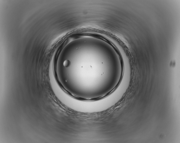 X0000091960872200709131225