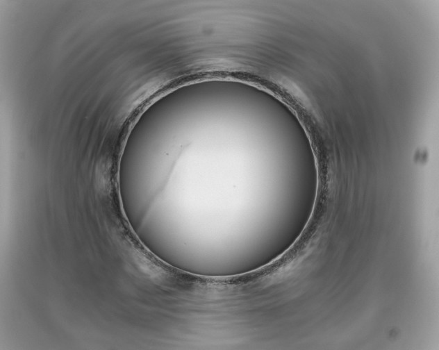 X0000091960873200709131225