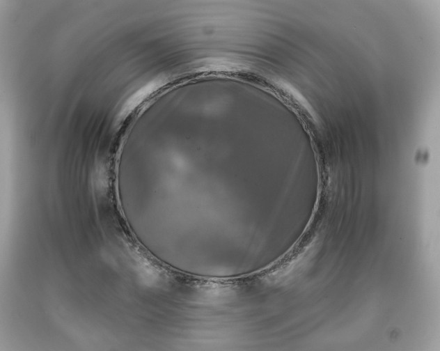 X0000091960874200709131225