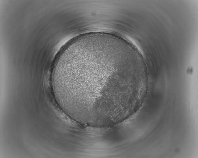 X0000091960875200709131225