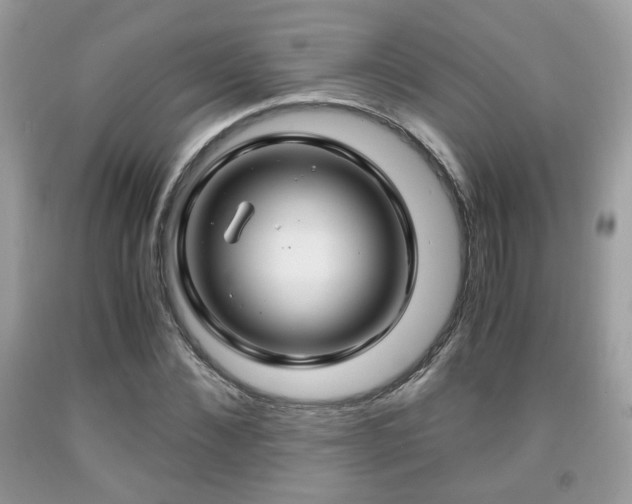 X0000091960876200709131225