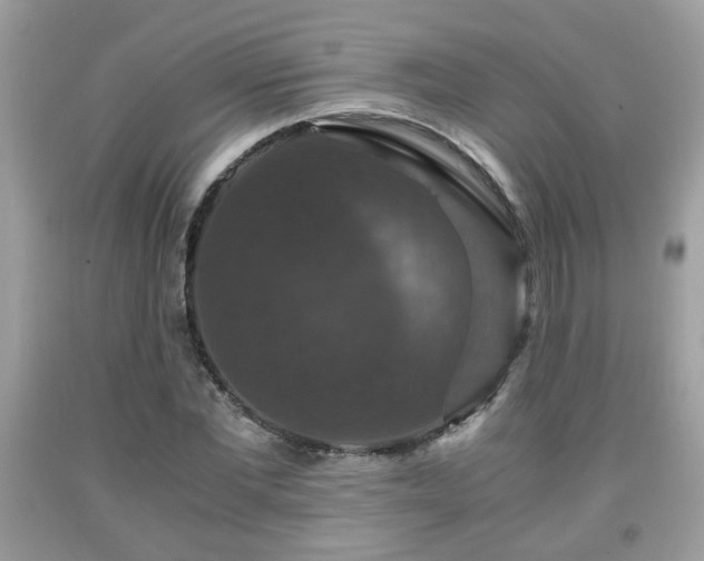 X0000091960877200709131225