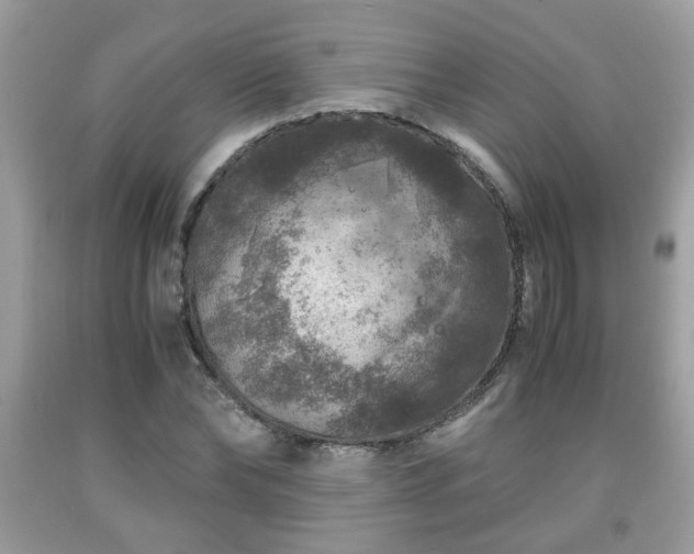 X0000091960878200709131225