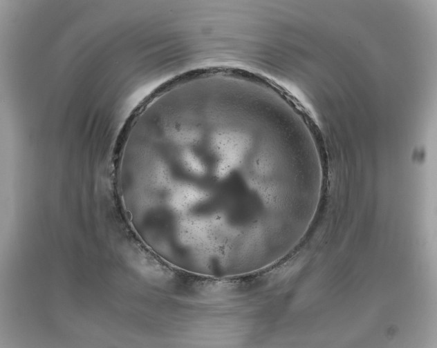 X0000091960879200709131224