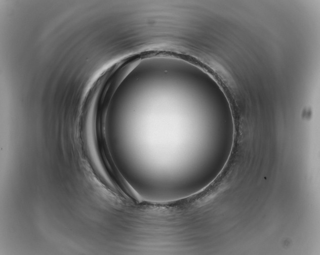 X0000091960880200709131224