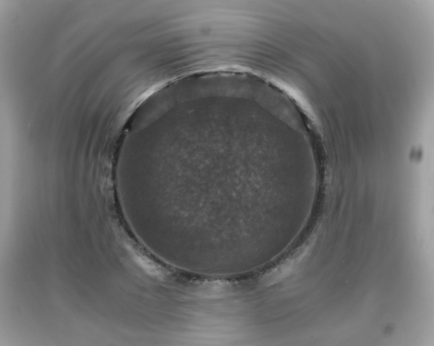 X0000091960881200709131224