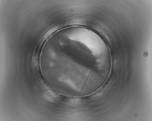 X0000091960882200709131224