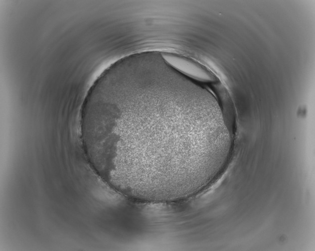 X0000091960883200709131224