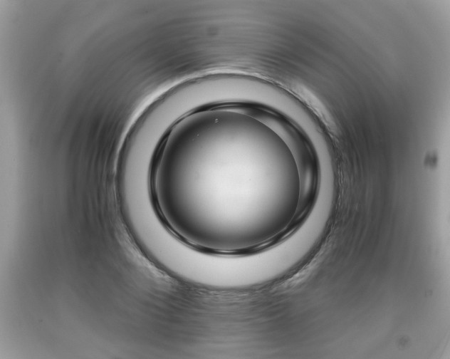 X0000091960884200709131224