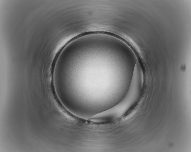 X0000091960885200709131224