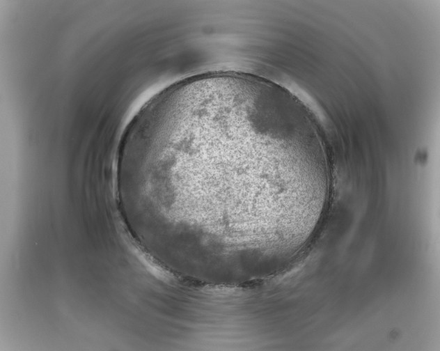 X0000091960886200709131224