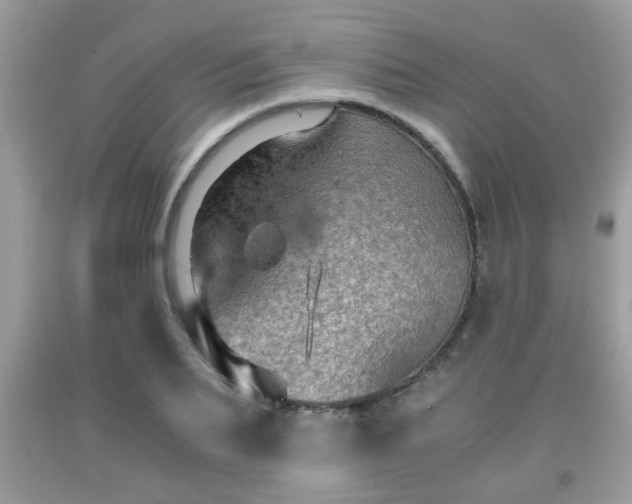 X0000091960887200709131224