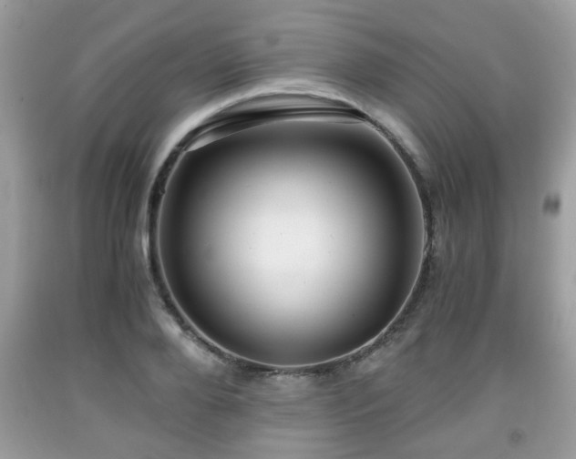 X0000091960888200709131224