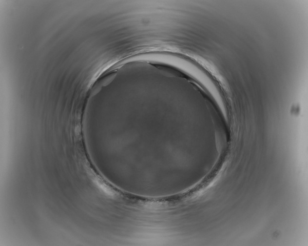 X0000091960889200709131224