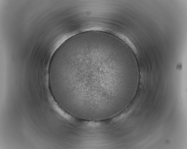 X0000091960890200709131224