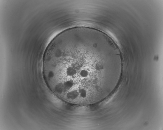 X0000091960891200709131224