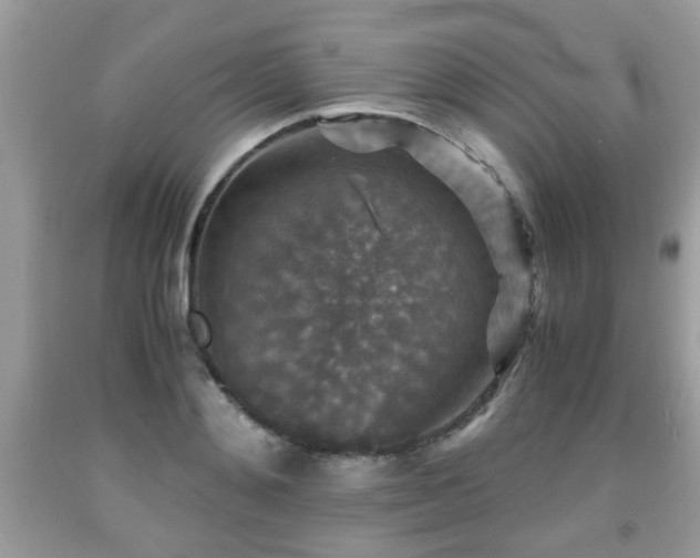 X0000091960892200709131224