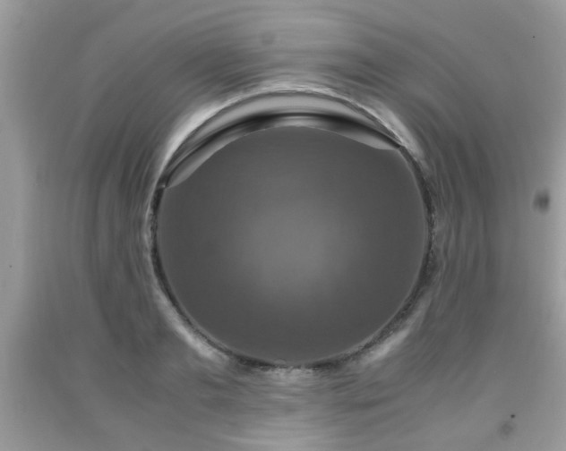 X0000091960893200709131224