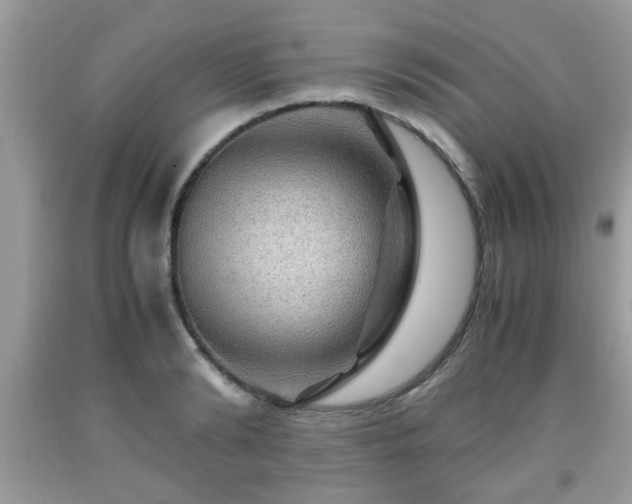 X0000091960894200709131224