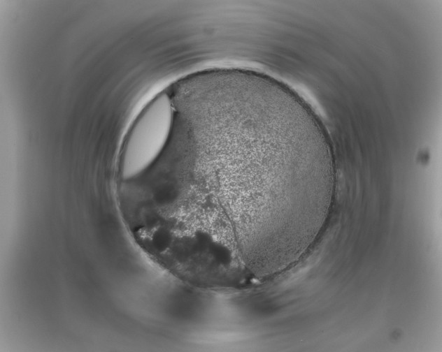 X0000091960895200709131224