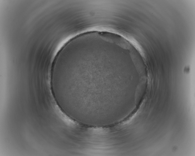 X0000091960896200709131224