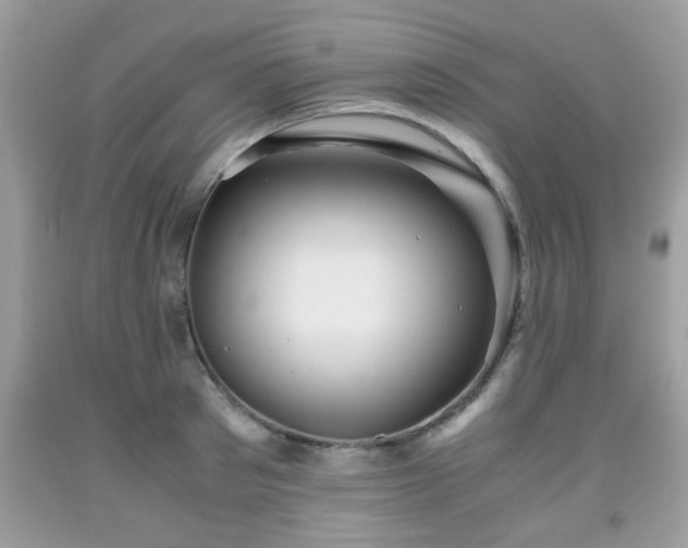 X0000091960897200709131224