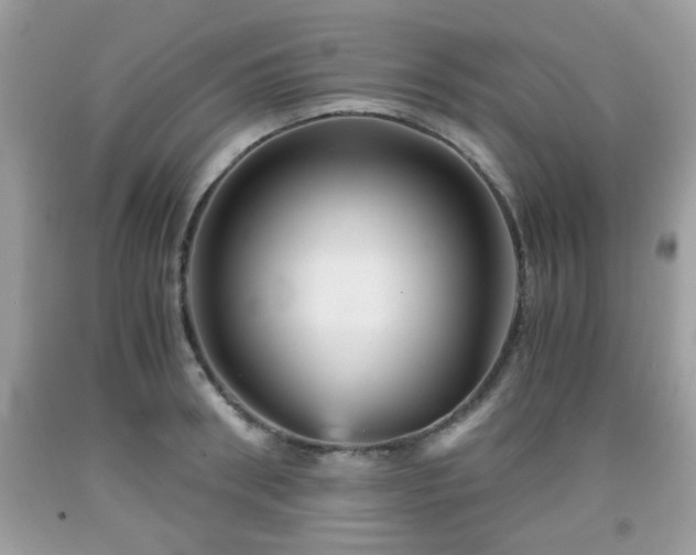 X0000091960898200709131224