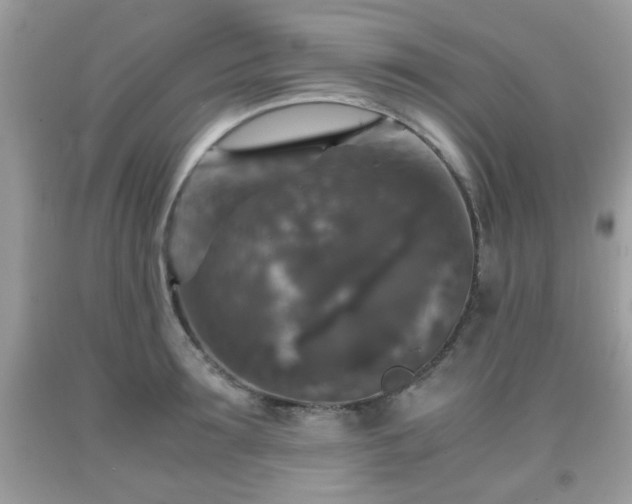 X0000091960899200709131224