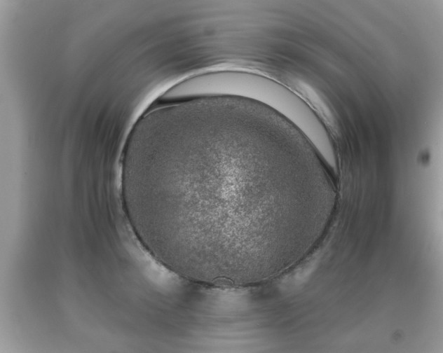 X0000091960900200709131224