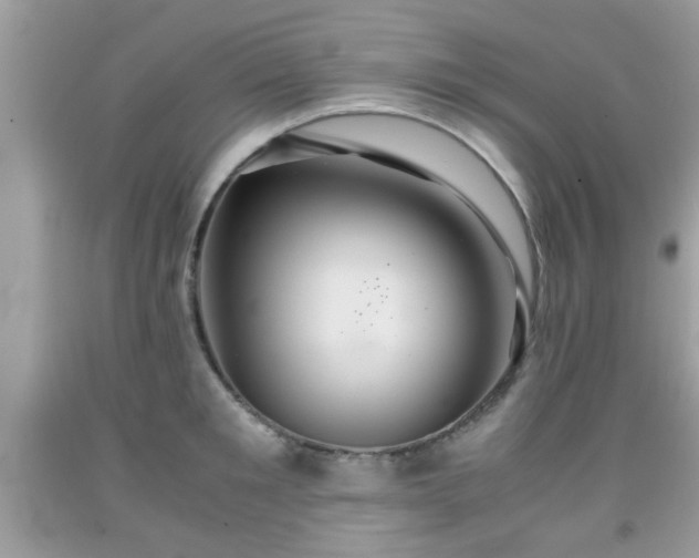 X0000091960901200709131224