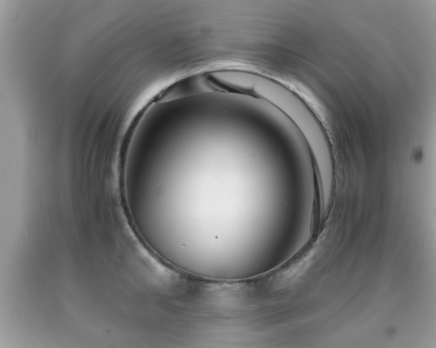 X0000091960902200709131224