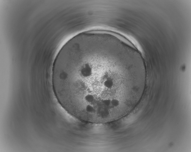 X0000091960903200709131224