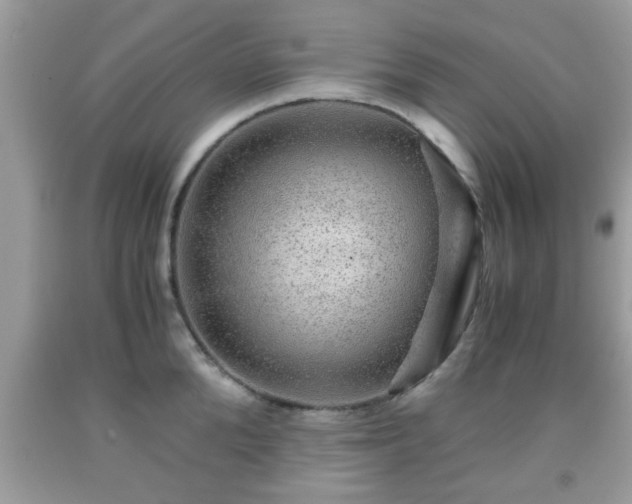 X0000091960904200709131224