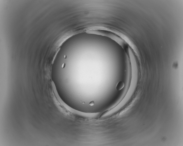 X0000091960905200709131224