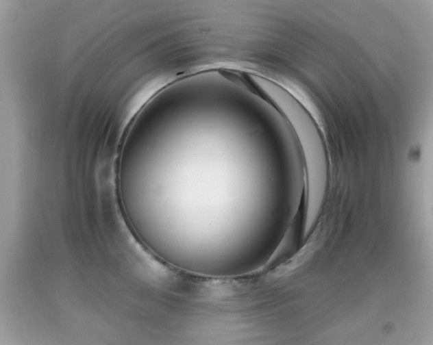 X0000091960906200709131224