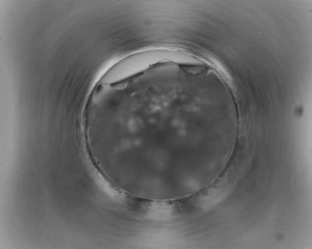 X0000091960907200709131224