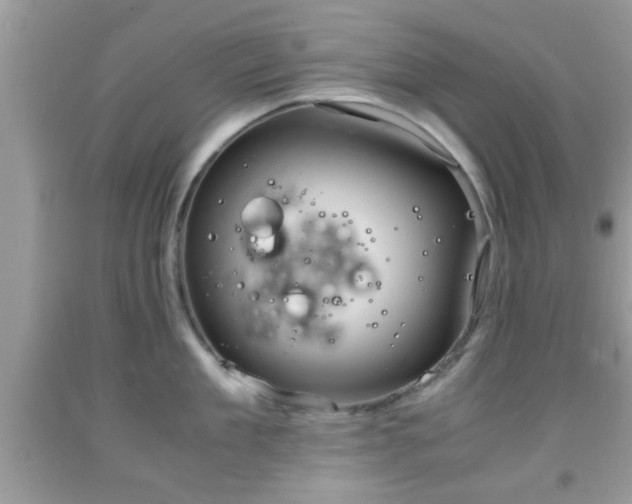 X0000091960909200709131224