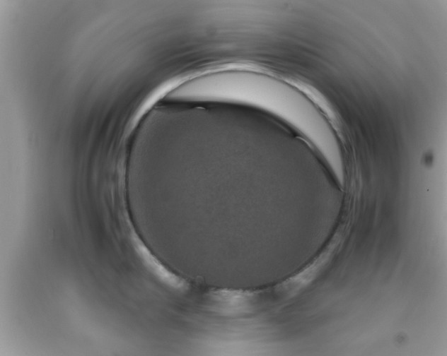 X0000091960910200709131224