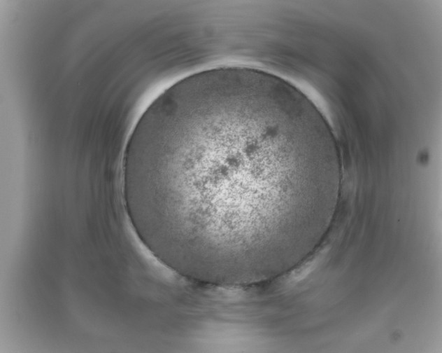 X0000091960911200709131224