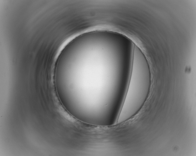 X0000091960912200709131224