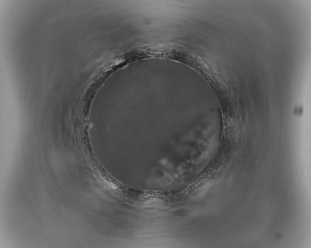 X0000091960913200709131223