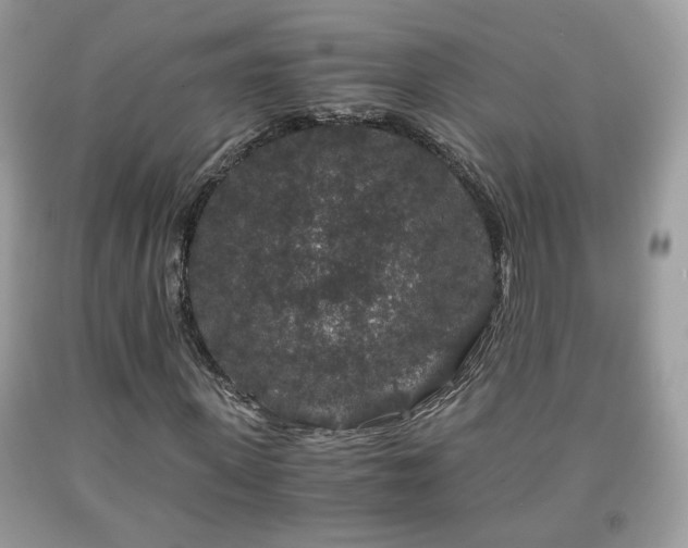 X0000091960915200709131224