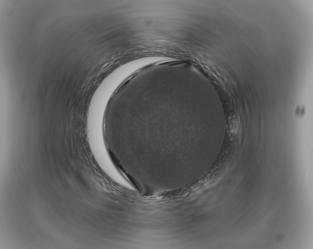 X0000091960916200709131224