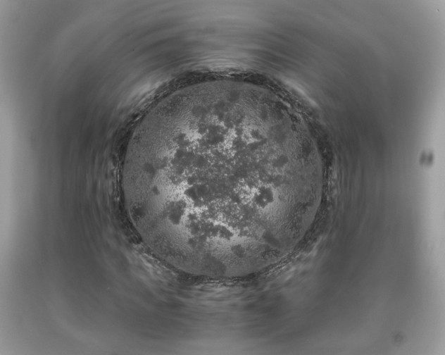 X0000091960917200709131224