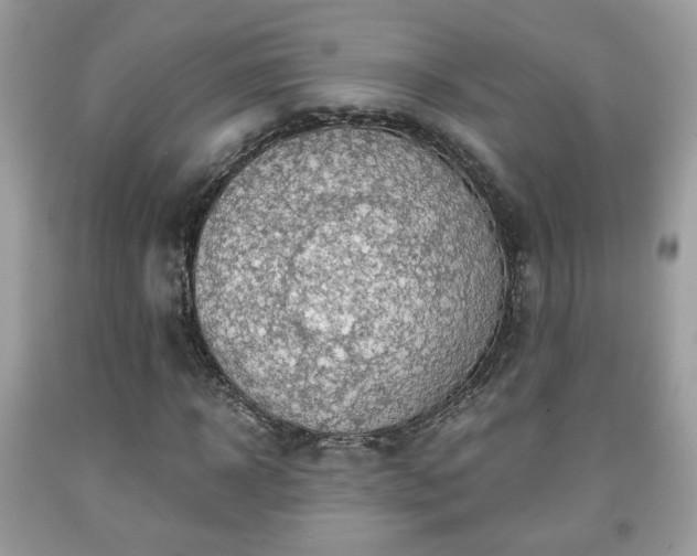 X0000091960918200709131224