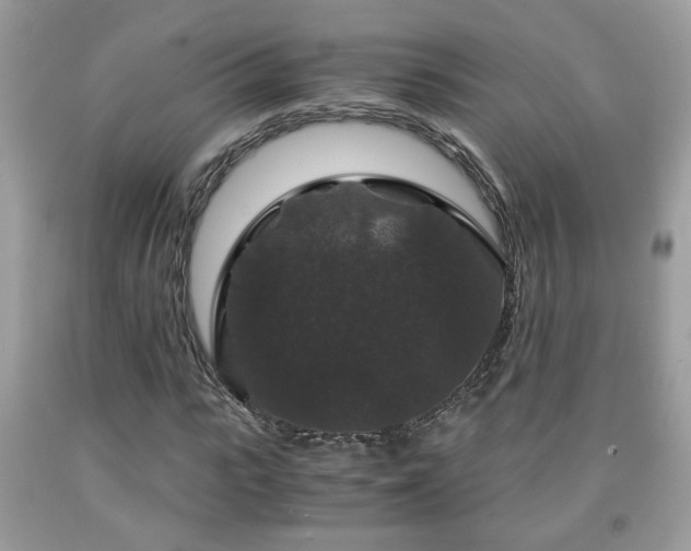 X0000091960919200709131224